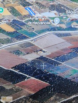 Mabel'den Satılık Portakal Bahçesi Mersin / Akdeniz / Nacarlı