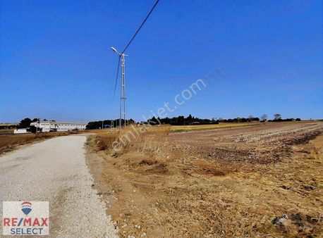 Silivri Küçükkılıçlı Yola Cephe Yerleşime Yakın 12 Dönüm Tarla