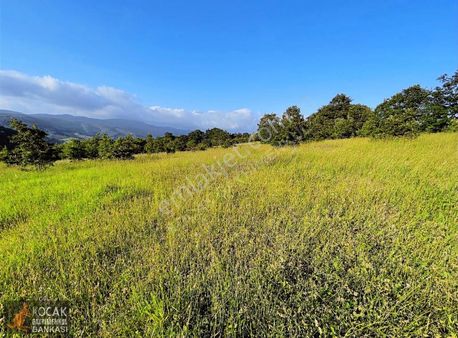 Sarıağıl Mahallesinde Etrafı Erik Bahçesi 7321 M2 Satılık Tarla