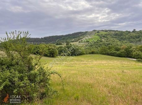 Derbent Köyünde Harika Doğa Manzarasıyla 2949m2 Hobi Bahçesi