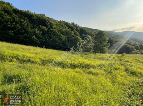 Kirazlıyayla Köyünde Villa İmarlı 1606m2 Satılık Arsa