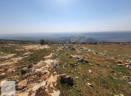 Coşkun İbili'den 70 Dönüm Yatırımlık Fırsat Arazi