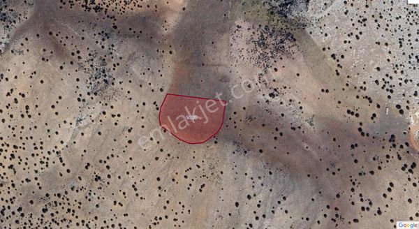 Karadiğin De Acil Satılık Fiyatı Cazip Tarla