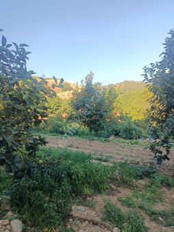 Bayındır Kızılkeçili’de Satılık Bahçe