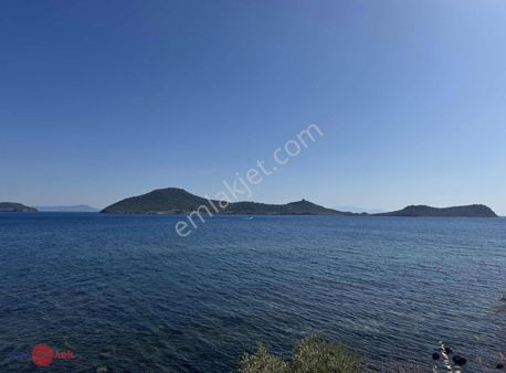 Dikili Denizköy 1432 M2 Denize 150 M Mesafede Zeytinli Tarla