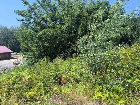 Reşadiye De 2 Kat Konut/villa İmarlı Hazır İnşaatlık Arsa