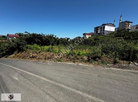 Umut Emlak'tan Karacaömer Mahallesi'nde Satılık 4kat İmarlı Arsa