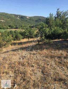 Bursa Yenişehir Günece Mahallesi 1573 M2 Tarla