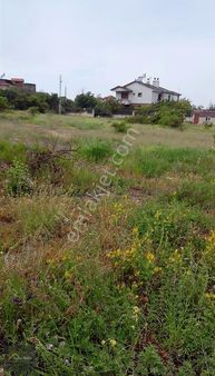 Erenköy'de 275 M2 Hisseli Arsa