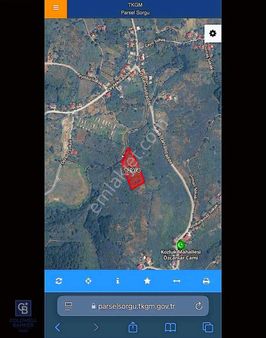 Kozluk Merkeze Yakın 7400 M2 Satılık Fındıklık