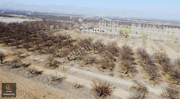 Özgürden, Akçadağ Da Fırsat Harika Konumda Sulu Tarla