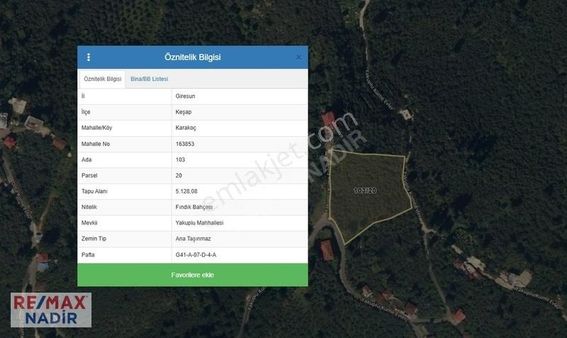 Remax'ten Keşap Karakoç Köyünde Satılık Fındık Bahçesi