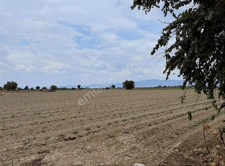 Pek Emlaktan Eskiobada 11000 M2 Satılık Düz Çok Verimli Tarla