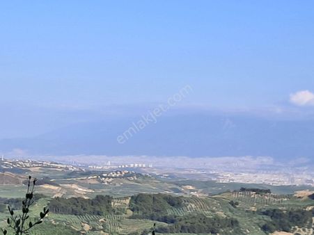 Bursa Mudanya Çepnide Satılık Tarla