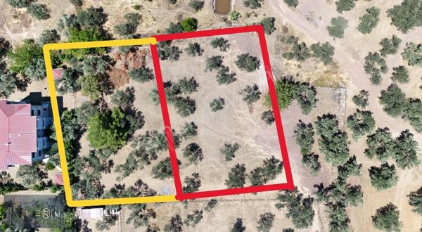 Kerim'den Satılık Avcılar'da İmar Sınırında Yatırımlık Zeytinlik