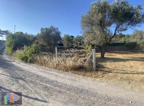 Araç Takasına Açık Sag Ve Sol Tarafı Villalarla Kaplı Tarla