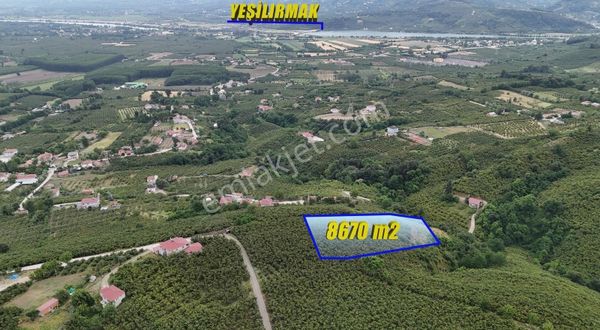 Öz-emmaxtan Gökçeçakmakta Satılık 8670 M2 Fındık Tarlası