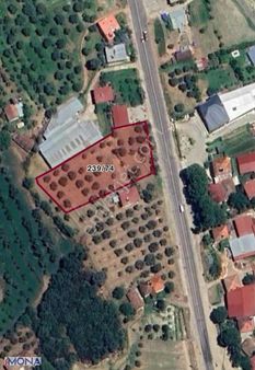 Karacasu Esençay Köyünde 3250 Metrekare Nar Ve Zeytin Bahçesi