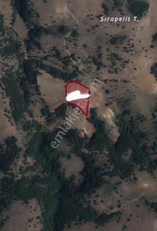 Eskişehir - Tepebaşı-- Çalkara Mah 10 Dönüm Satılık Tarla