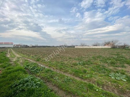 Turgutlu Satılık Mustafa Kemal Mah 9. Mıntıka 6.191m2 Müstakil Tapulu Tarla