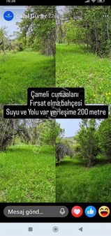 Çameli Cumaalanı'nda Yeşillikler İçinde Fırsat Elma Bahçesi