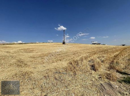 Alparslan Emlak'tan Kocasinan Saraycık'ta Satılık Tarla