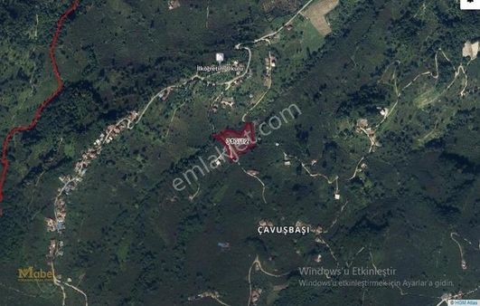 Mabel Gayrimenkul-çamaş-çavuşbaşı Mah.-satılık Fındık Bahçesi