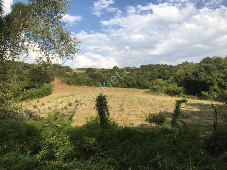 Bahar Emlak'tan Mudanya Yamanköy'de Yatırımlık İçin Uygun Tarla