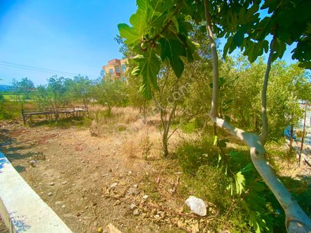 Dalaman Hürriyet De Yatırımlık Arsa