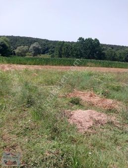 Salmanlı Işıklar Köyünde 1700m2 Göl Manzaralı Satılık Tarla