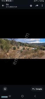 Bergama Karahıdırlı Köyünde Merkeze Yakın Zeytinli Tarla