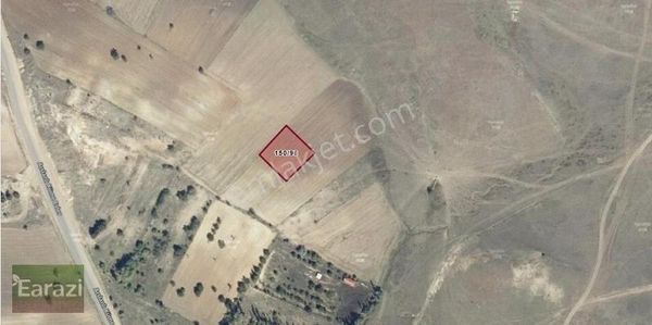 Merkez Arslanlı Dümdüz Arazi Fırsat Tek Tapu 1074m²