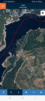 Dalsman Bozbel Mahallesinde Satılık Tarla