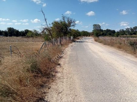 Kırklareli Vize Evrenli Köyü Çakıllı Yoluna Cephe Bağ-bahçe Tapulu 300 M2 Parseller