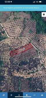 Bursa Emlak Alem-i Fındıklı Da 1583 M2 Resmi Yola Cepheli Tarla