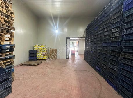 Bursa Emlak Alem-i Örnekköy De 1500 M2 Acil Satılık İş Yeri Depo