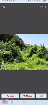 Kandıra Karlıda Köye 50 Metre Yola 1 Parsel 580 M2 0.05 İmarlı