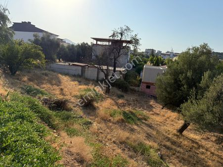 Manisa Alaşehir Alper Gayrimenkulden Şeyhsinan Mah.437 M2 Müstakil 3 Kat İmar