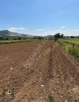 Detay Emlak Kütahya Merkez Kükürt Mh. 3849 M² Satılık Tarla