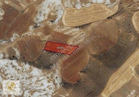 İmay Gayrimenkul'den Himmetfakı Satılık 4 Dönüm Tek Tapu Tarla!