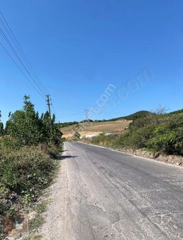 Yalova Kılıç Mahlesinde Satılık Tarla