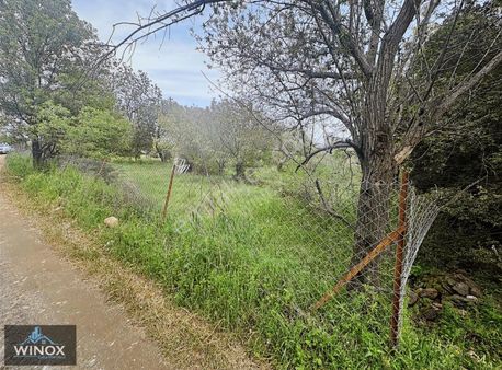 Wınox Tan Başkarcı Da İmara Yakın Tarla