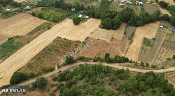 Kestel Gölcük'te Satılık 3100 M2 Yatırımlık Tarla