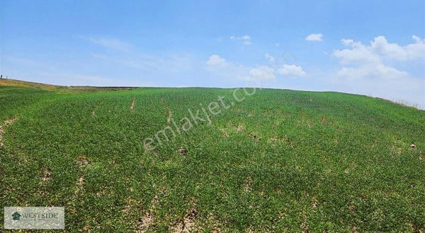 Westside'dan Ankara Çankaya'da Müstakil Tapu Fırsat Satılık Arsa