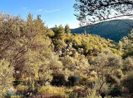 Torbalı Helvacı Mah.9412 M2 Müstakil Parsel Satılık Tarla