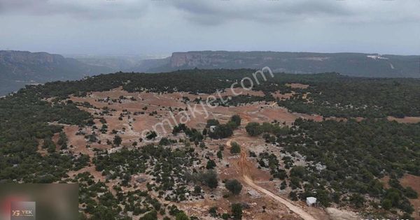 Yatırımlık Ve Tarıma Elverişli Arazi - Erdemli Arslanlı