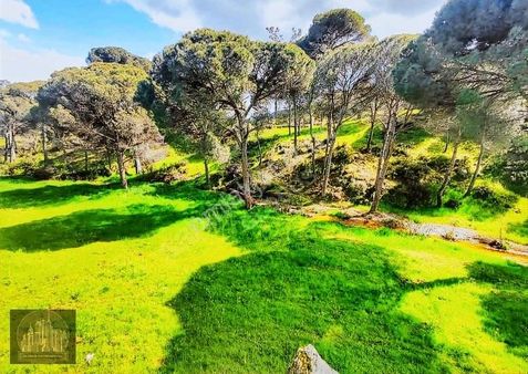 Marmarisde Denize Yürüme Mesafesi Tek Tapu Yatırımlık Arsa
