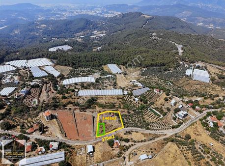 Bmkdan Güzörende Rızai Taksimli Uygun Fiyatlı Tarla