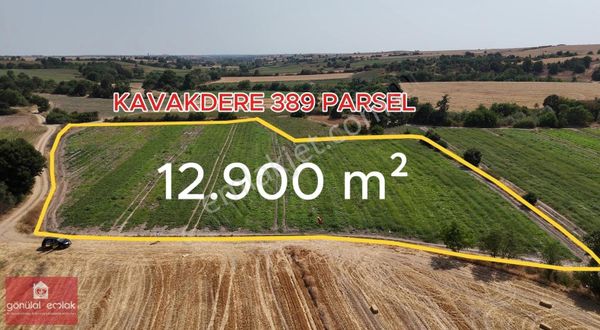 Kırklareli Kavakdere Resmi Yola Cephe Dereboyu 12.900 M2 Tarla