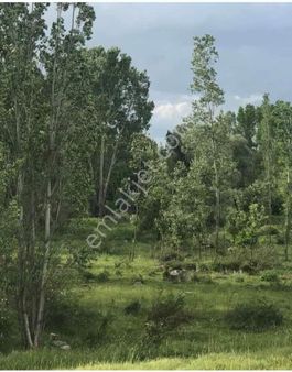 Akören Tülce De Yeşillikler İçinde Muazzam Bahçe